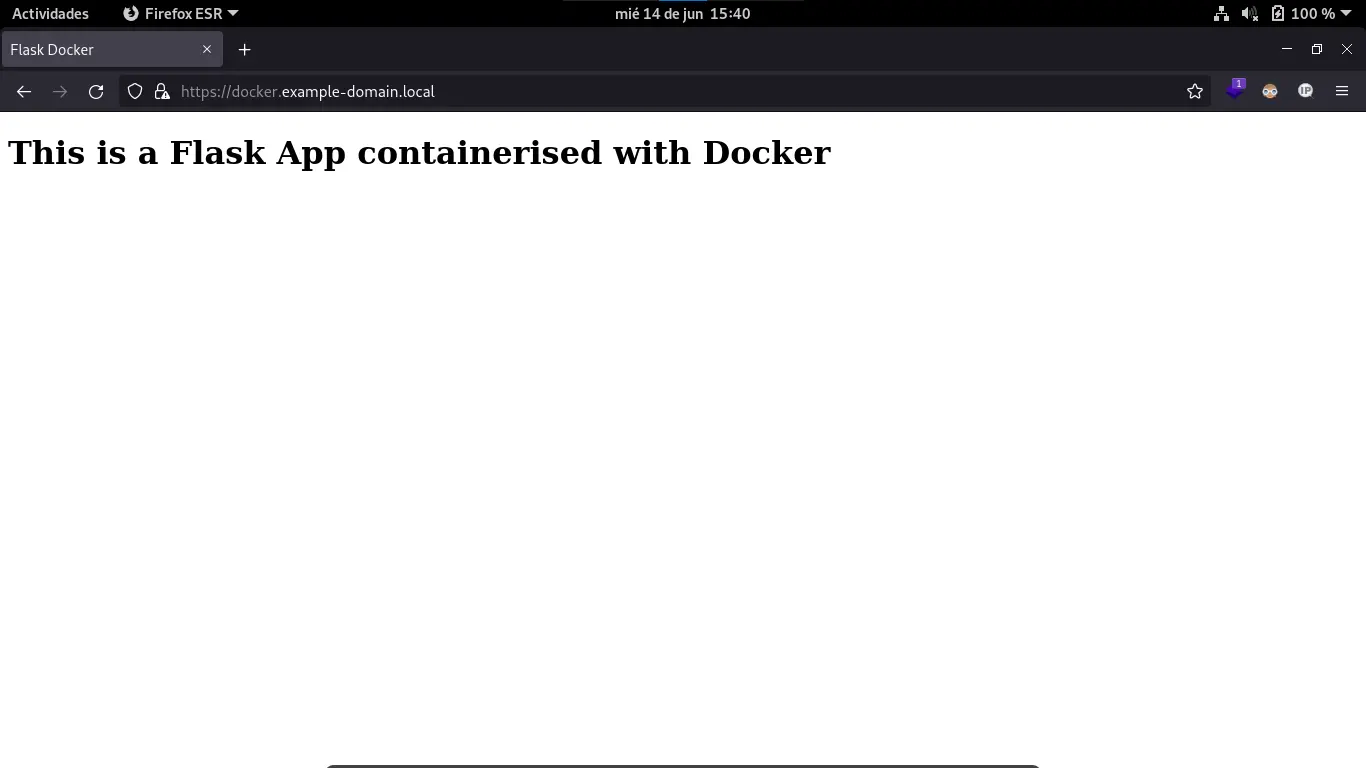 Web flask docker proxy Nginx