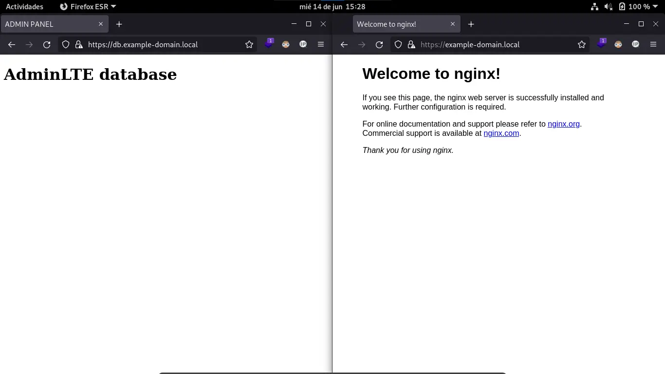 Nginx subdominio virtualhosting