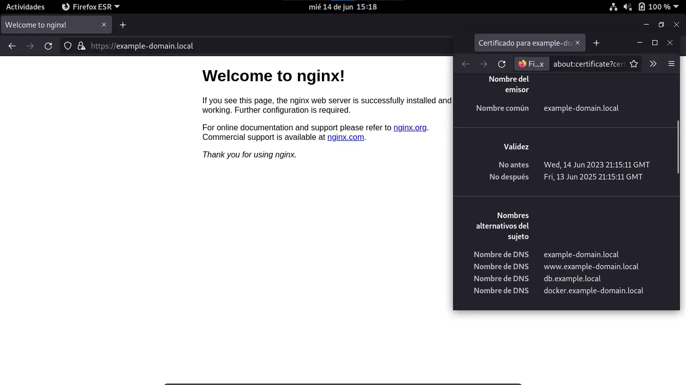 Nginx web con ssl